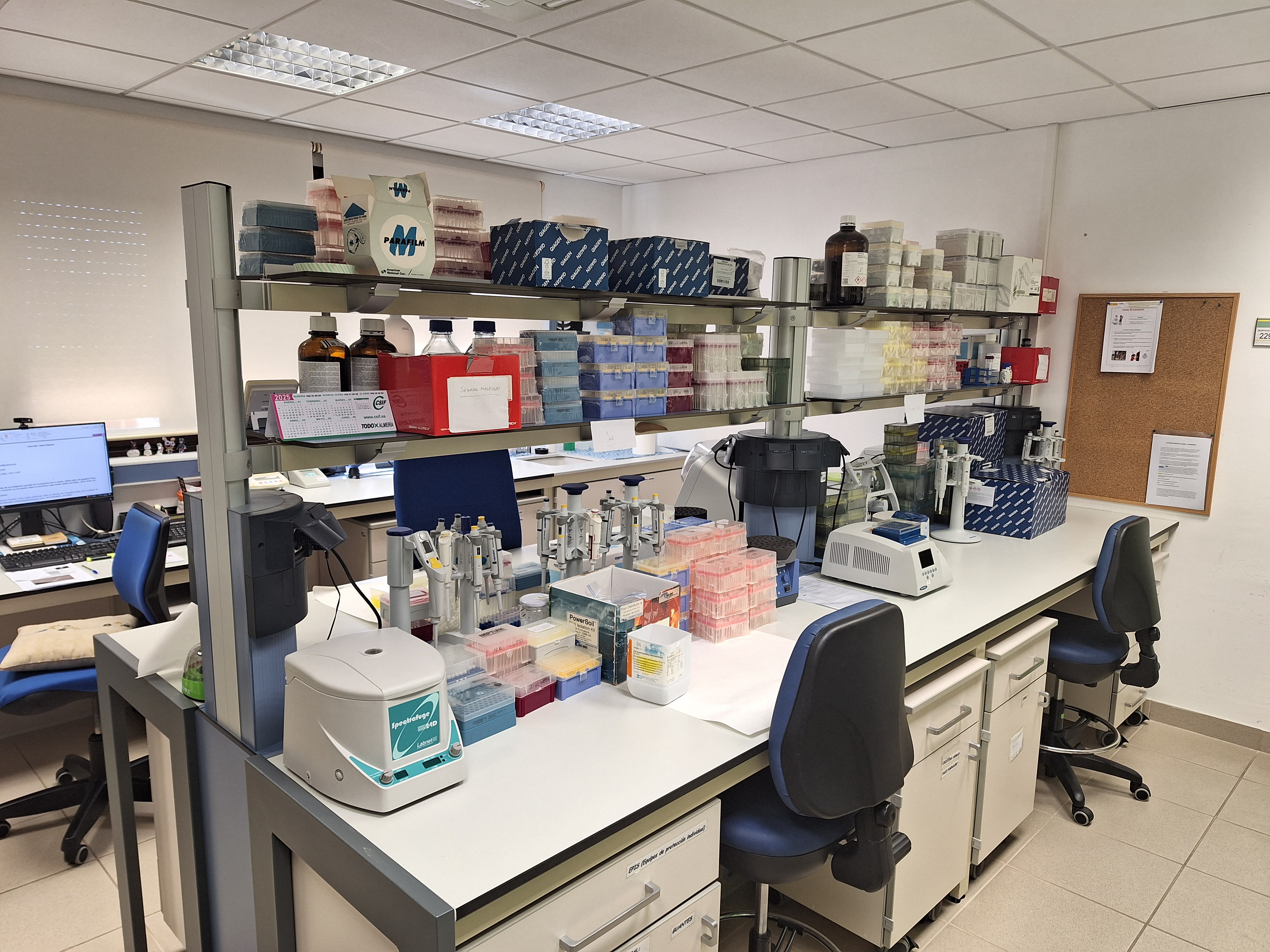 Laboratorio de Biomedicina 2