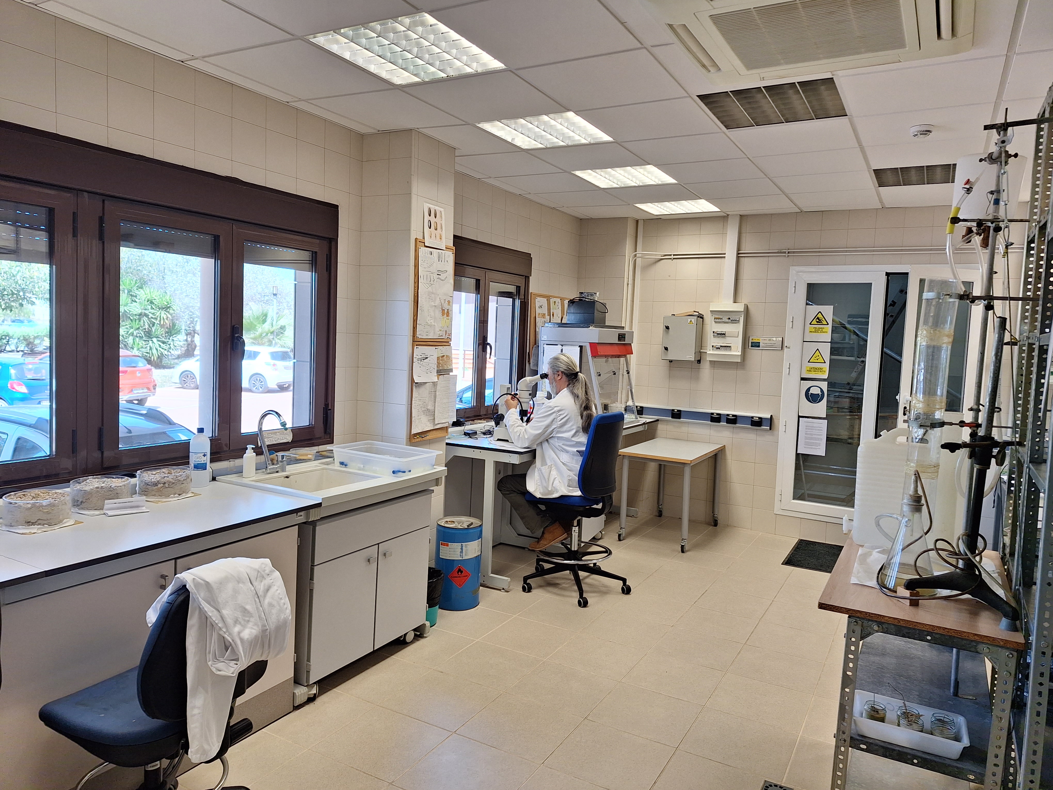 Laboratorio de Geología 1