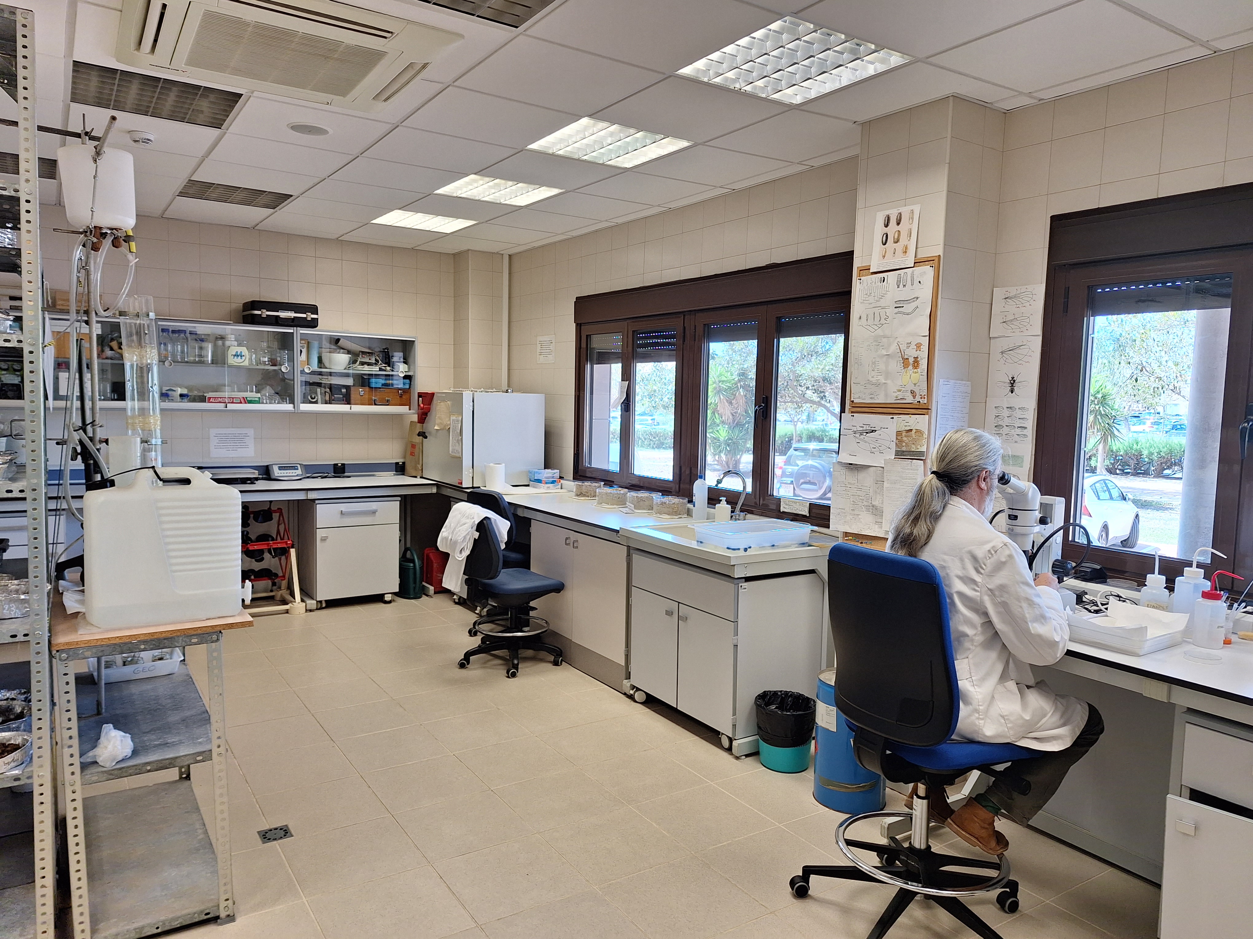 Laboratorio de Geología 2