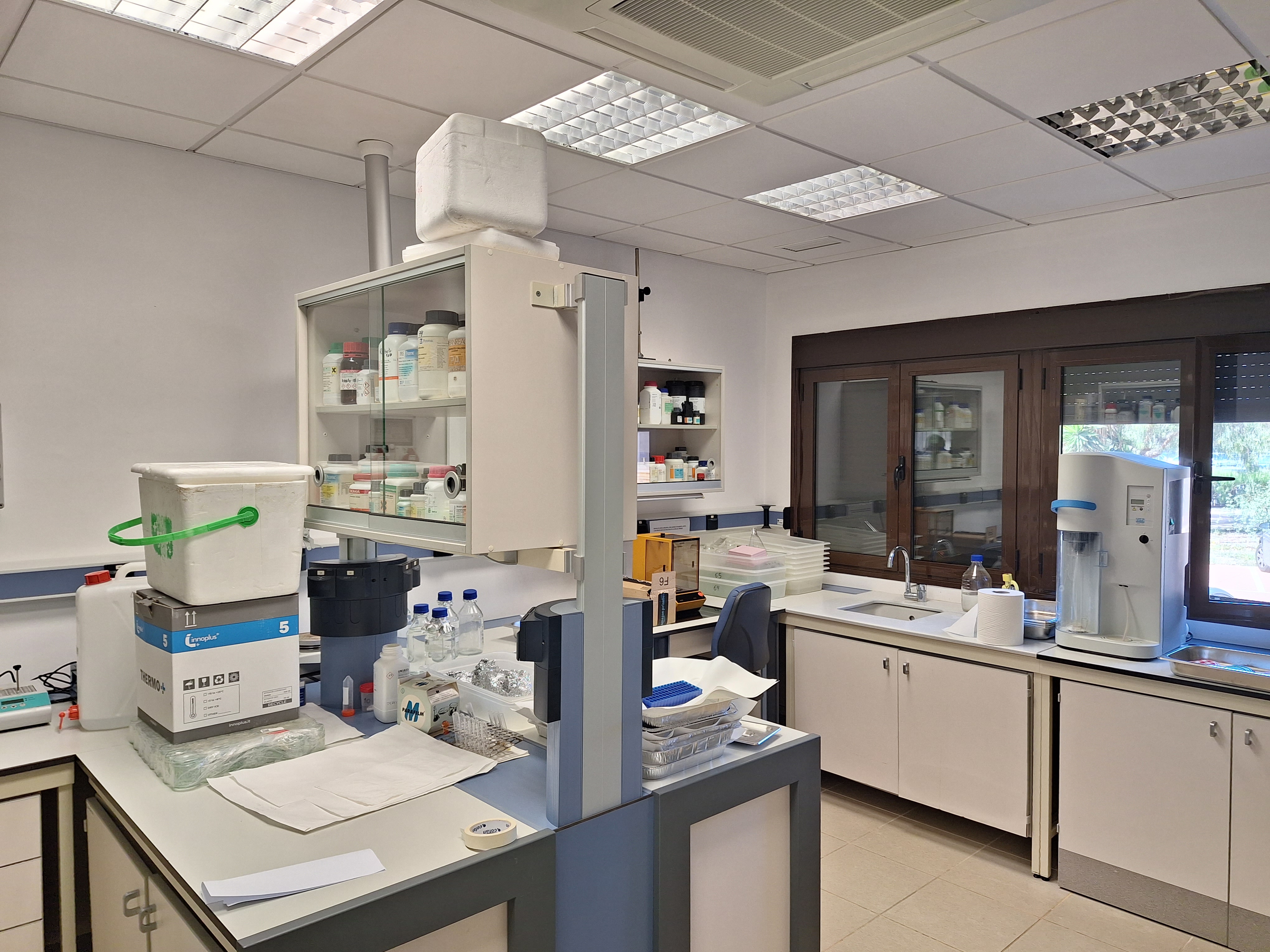 Laboratorio de Química 1