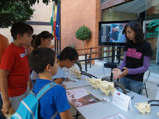 Semana de la Ciencia 2